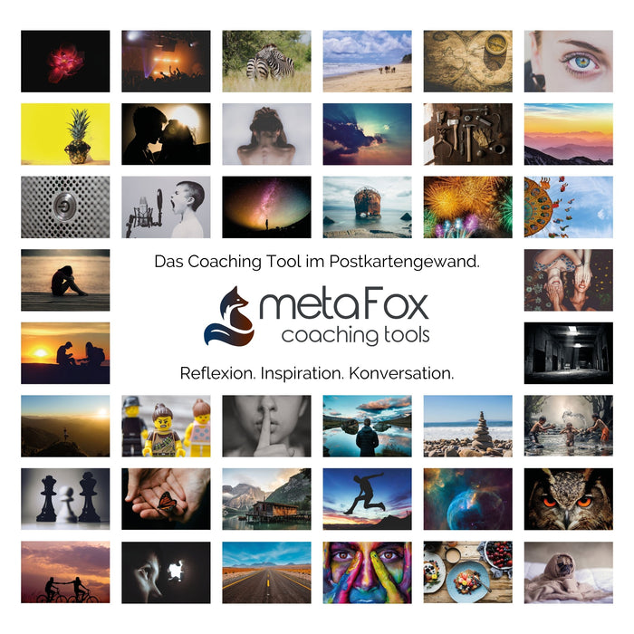 metaFox "World of Emotions" picture cards