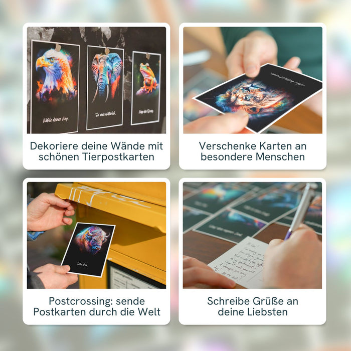 „Spirit Animals“ Postkarten-Set - 44 illustrierte Tierkarten für Gruppen-Sessions