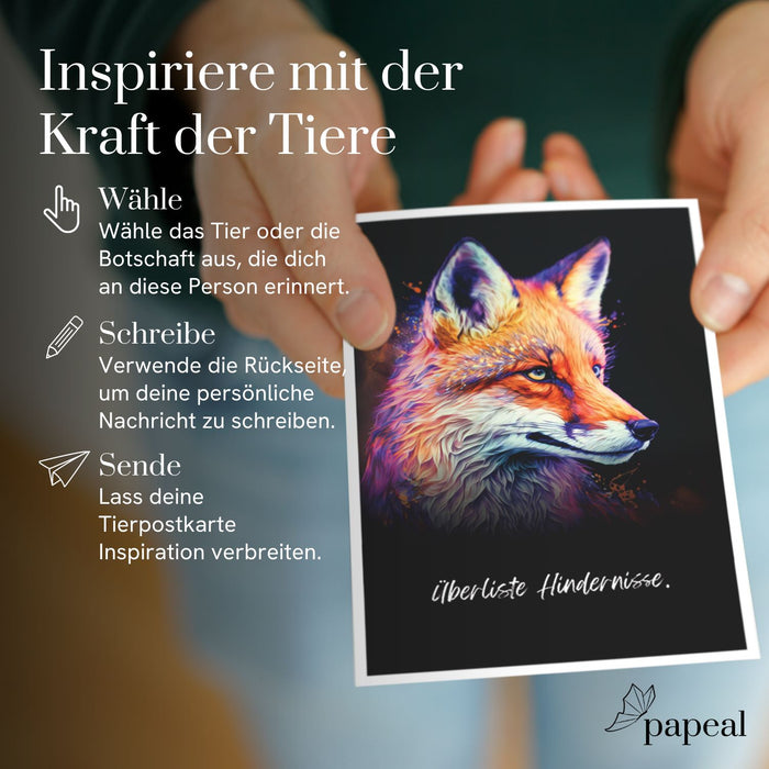 „Spirit Animals“ Postkarten-Set - 44 illustrierte Tierkarten für Gruppen-Sessions